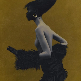 A cover of "art" cluster. The owner is blackwoman. The cluster consists of 12 elements.