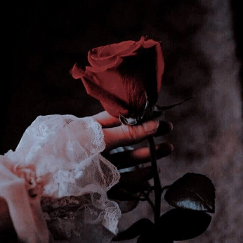 A cover of "heaven sent" cluster. The owner is oddfairyfloss. The cluster consists of 17 elements.