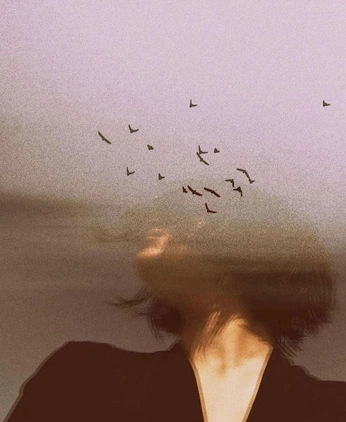 A cover of "dreamy" cluster. The owner is katieflanigan. The cluster consists of 1 element.