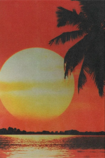 A cover of "素材" cluster. The owner is lululu888. The cluster consists of 37 elements.