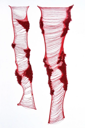 A cover of "RedRopesWireWeb" cluster. The owner is ahulia. The cluster consists of 50 elements.