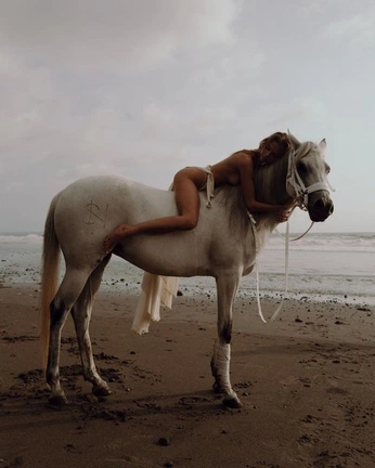 A cover of "horses" cluster. The owner is wolfrik. The cluster consists of 32 elements.