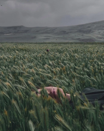 A cover of "Stephen Stanley" cluster. The owner is rashun. The cluster consists of 13 elements.