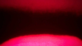 A cover of "bosi" cluster. The owner is biblechat. The cluster consists of 1 element.