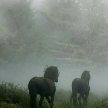 A cover of "🦋 Inspo" cluster. The owner is annabu. The cluster consists of 25 elements.