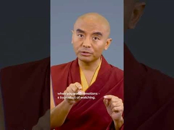 A cover of "Doing nothing content" cluster. The owner is sambradley. The cluster consists of 9 elements.