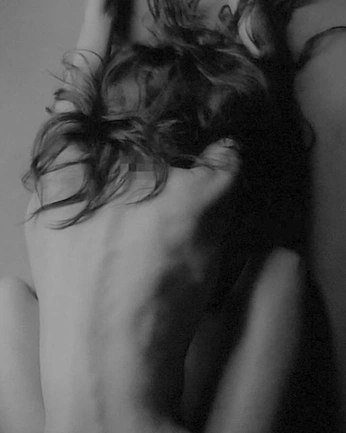 A cover of "reference" cluster. The owner is sophiamurray. The cluster consists of 1 element.