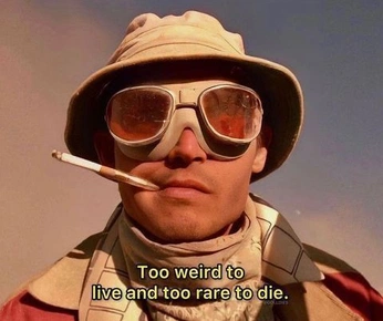 A cover of "My Kinda Shiz" cluster. The owner is en3coa. The cluster description is "A curation of things from late 2024 before I hit the free limit lol". The cluster consists of 766 elements.