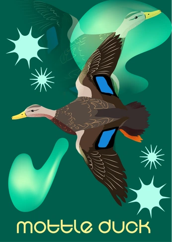 A cover of "Original Illustrations" cluster. The owner is artsycato. The cluster consists of 3 elements.