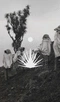 Cover of Logos cluster