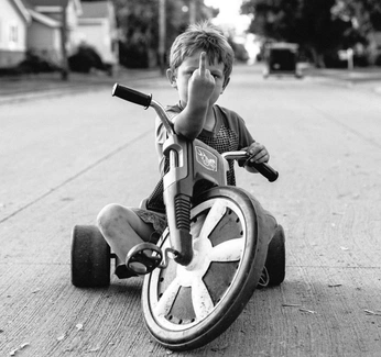 A cover of "FOTO" cluster. The owner is wicho. The cluster consists of 16 elements.