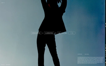 A cover of "Landing Page (Panasonic)" cluster. The owner is dannyexcess. The cluster consists of 9 elements.