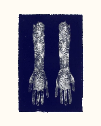 A cover of "C" cluster. The owner is cinnnnnnnnnn. The cluster consists of 18 elements.