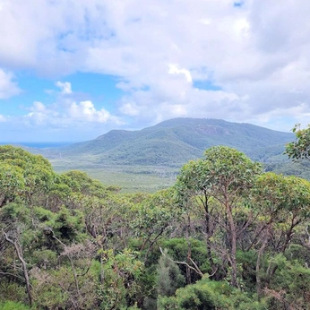 A cover of "Scenery and Landscapes" cluster. The owner is destinationone. The cluster consists of 693 elements.