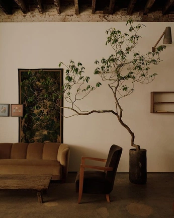 A cover of "a home" cluster. The owner is simrahfarrukh. The cluster consists of 11 elements.