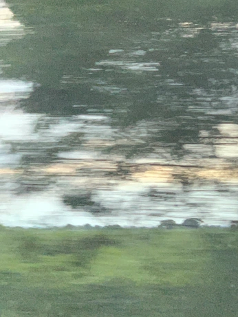 A cover of "Calm" cluster. The owner is samuellovescows. The cluster consists of 14 elements.