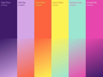 A cover of "Color palletes" cluster. The owner is paddycakes56. The cluster consists of 44 elements.