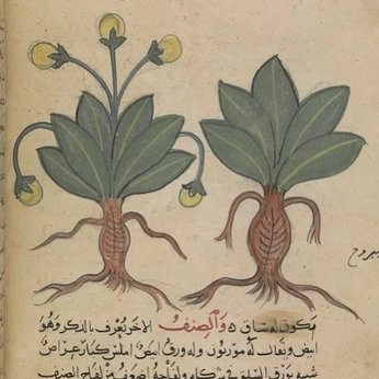 A cover of "real shit" cluster. The owner is earthintruder. The cluster consists of 22 elements.