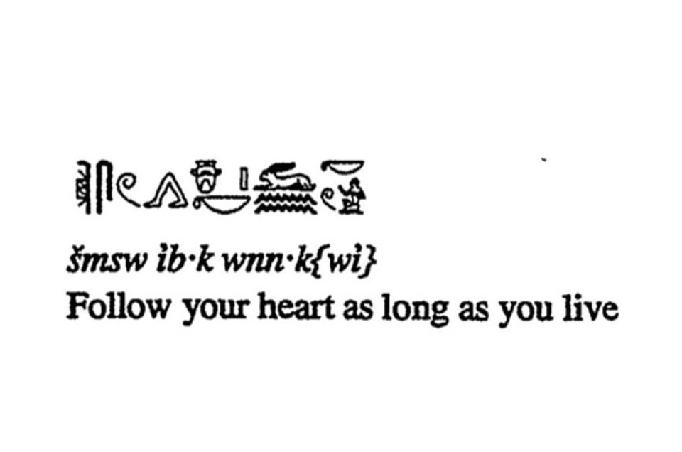 metabiite - Design Inspo