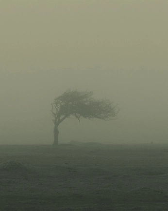 A cover of "PAYSAGE" cluster. The owner is tomvasset. The cluster consists of 13 elements.