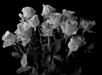 A cover of "06/10" cluster. The owner is vladdita. The cluster consists of 27 elements.