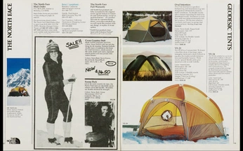 A cover of "PATAGONIA MOOD BOARD" cluster. The owner is deyn0314. The cluster consists of 20 elements.