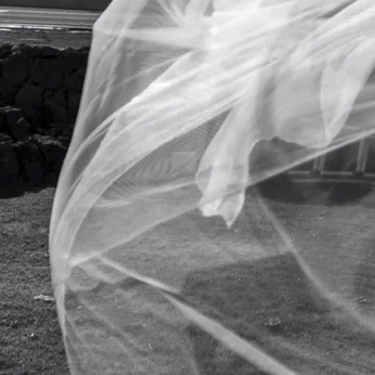 A cover of "natur(al)e" cluster. The owner is headspins. The cluster consists of 4 elements.