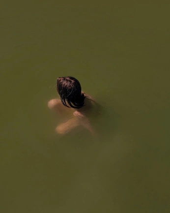 A cover of "VIRD" cluster. The owner is josenunez. The cluster consists of 7 elements.