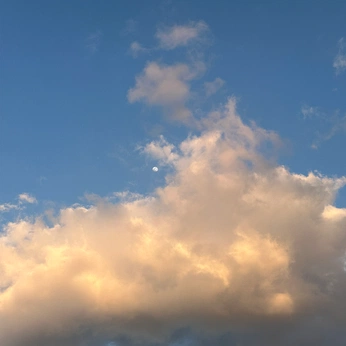 A cover of "2025" cluster. The owner is beetlebug. The cluster consists of 179 elements.