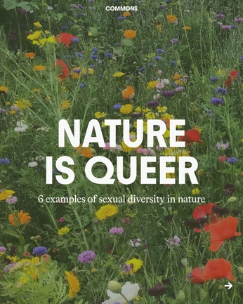 A cover of "queer af" cluster. The owner is margauxlamblin. The cluster consists of 1 element.