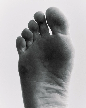 A cover of "tabis" cluster. The owner is elisonbartolomeu. The cluster consists of 36 elements.