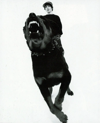 A cover of "snarling dogs" cluster. The owner is wolfrik. The cluster consists of 16 elements.