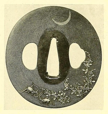 A cover of "TFG" cluster. The owner is arturcosta. The cluster consists of 74 elements.