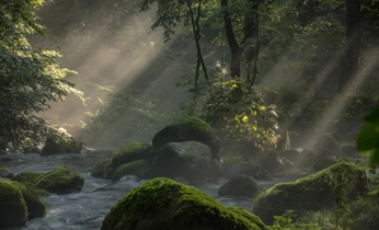 A cover of "nature outdoor photograp" cluster. The owner is oliviairene. The cluster consists of 19 elements.