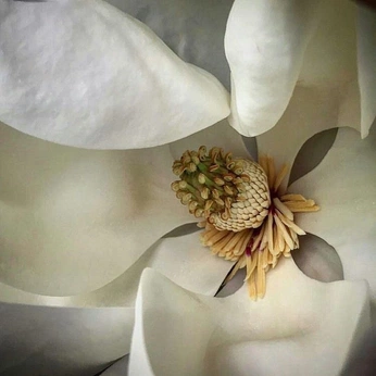 A cover of "Lit." cluster. The owner is sopio.888. The cluster description is "if life was perfect i would be able to read every book that exists". The cluster consists of 6 elements.