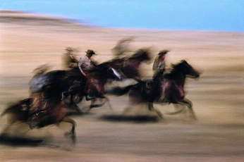 A cover of "the weird weird west" cluster. The owner is eme.estevez. The cluster consists of 18 elements.