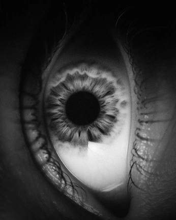 A cover of "Ohne Worte" cluster. The owner is notquitethereyet. The cluster consists of 41 elements.