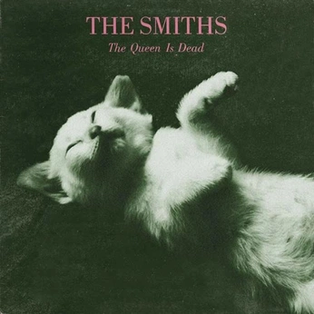 A cover of "album cover design" cluster. The owner is doselle. The cluster consists of 24 elements.