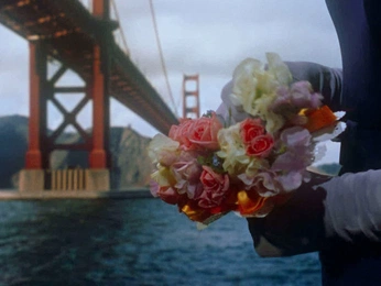 A cover of "cinema" cluster. The owner is zachmorrison. The cluster consists of 13 elements.