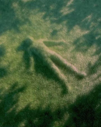 A cover of "Nature" cluster. The owner is salohinca. The cluster consists of 7 elements.