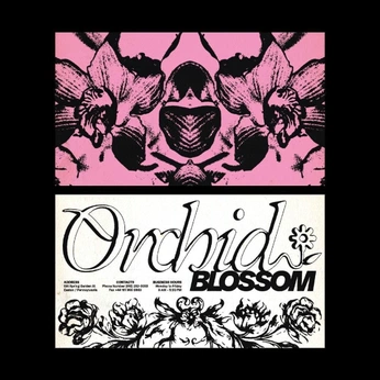 A cover of "Poster Design" cluster. The owner is goodbones.design. The cluster consists of 80 elements.