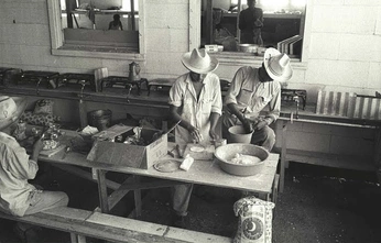 A cover of "my aura" cluster. The owner is poem. The cluster consists of 108 elements.