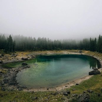 A cover of "Naturalis" cluster. The owner is mrseal. The cluster consists of 265 elements.