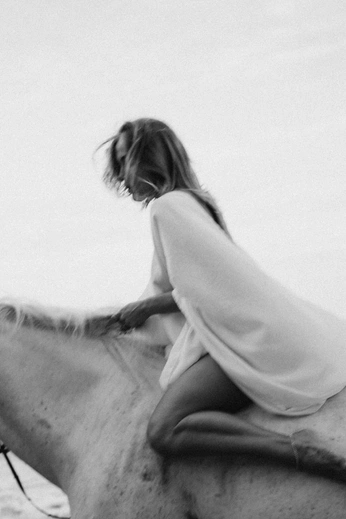 A cover of "horsegirl" cluster. The owner is fullyspiced. The cluster consists of 5 elements.