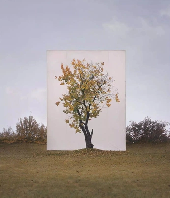 A cover of "Autumn" cluster. The owner is shirohero. The cluster consists of 17 elements.