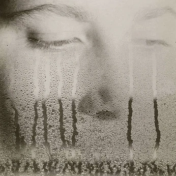 A cover of "emotions" cluster. The owner is palomawanders. The cluster consists of 6 elements.