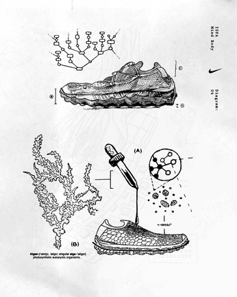 A cover of "diagram" cluster. The owner is sarar. The cluster consists of 6 elements.