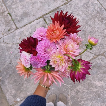 A cover of "florals" cluster. The owner is angelinaa. The cluster consists of 18 elements.