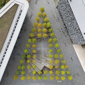 A cover of "Public Spaces" cluster. The owner is jul.mc. The cluster consists of 3 elements.