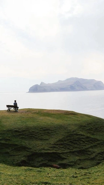 A cover of "Surréalism" cluster. The owner is tomvasset. The cluster consists of 21 elements.